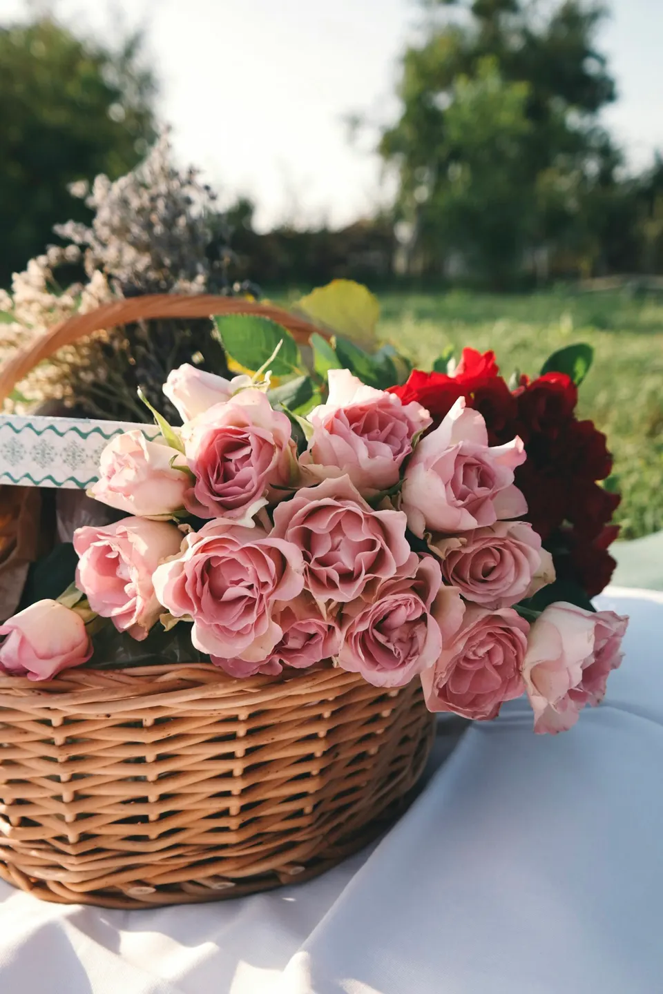 Pink roses heaped in a wicker basket on a white cloth